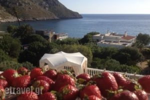 Alkyonis Apartments_accommodation_in_Apartment_Dodekanessos Islands_Kalimnos_Kalimnos Chora