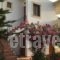 Vrisi Apartments & Villa_best deals_Villa_Crete_Heraklion_Tymbaki