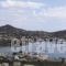 Letta'S Apartments_best deals_Apartment_Cyclades Islands_Syros_Posidonia