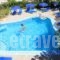 Iliana Apartments_holidays_in_Apartment_Crete_Chania_Agia Marina