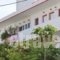 Stam & John Apartments_best deals_Apartment_Dodekanessos Islands_Kos_Kos Chora