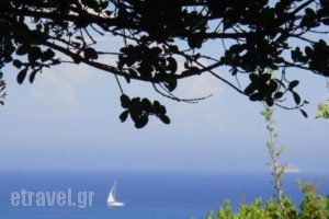 Villa Eliza_accommodation_in_Villa_Ionian Islands_Kefalonia_Kefalonia'st Areas