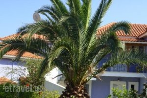 Villa Eliza_lowest prices_in_Villa_Ionian Islands_Kefalonia_Kefalonia'st Areas