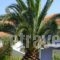 Villa Eliza_lowest prices_in_Villa_Ionian Islands_Kefalonia_Kefalonia'st Areas