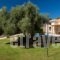 Aelia Villa_accommodation_in_Villa_Ionian Islands_Kefalonia_Fiskardo