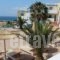 Arkasa Palace Boutique Villas_travel_packages_in_Dodekanessos Islands_Karpathos_Karpathos Chora