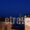 Villa Dolphins_best deals_Villa_Dodekanessos Islands_Halki_Halki Chora