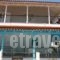 Gregory Apartments_best deals_Apartment_Macedonia_Halkidiki_Pefkochori