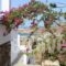 Country House Apartments_holidays_in_Apartment_Cyclades Islands_Ios_Ios Chora