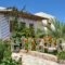 Olga Beach Villas_travel_packages_in_Crete_Lasithi_Palaekastro