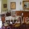 Villa Maria_best deals_Villa_Macedonia_Thessaloniki_Loutra Lagkada