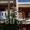 Villa Maria 2_best deals_Villa_Macedonia_Halkidiki_Sykia