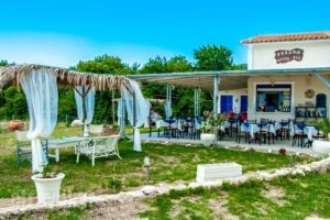 Dreams Beach Apartments Katelios_best prices_in_Apartment_Ionian Islands_Zakinthos_Zakinthos Rest Areas