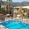 Latania Apartments_holidays_in_Apartment_Crete_Heraklion_Malia