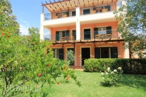 Dina Apartments_accommodation_in_Apartment_Ionian Islands_Kefalonia_Kefalonia'st Areas