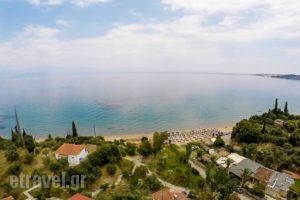 Panayiotis Apartments_accommodation_in_Apartment_Thessaly_Magnesia_Pilio Area