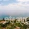 Panayiotis Apartments_accommodation_in_Apartment_Thessaly_Magnesia_Pilio Area