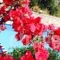 Marika Studios & Apartments_best deals_Apartment_Crete_Chania_Vryses Apokoronas