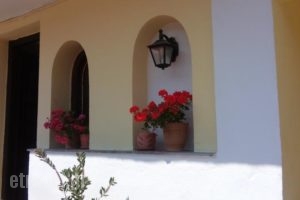 Castelli Studios & Apartments_best deals_Apartment_Crete_Rethymnon_Panormos