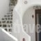 Olympian-Apartments_accommodation_in_Apartment_Cyclades Islands_Paros_Paros Chora