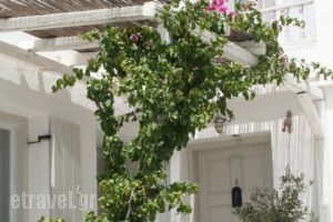 Korali Hotel And Apartments_best deals_Apartment_Cyclades Islands_Antiparos_Antiparos Chora