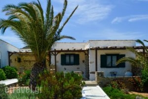 Peristeri Apartments_best prices_in_Apartment_Cyclades Islands_Antiparos_Antiparos Chora