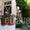 Villa Avra_holidays_in_Villa_Ionian Islands_Corfu_Corfu Rest Areas