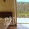 Anemones Villas_best deals_Villa_Peloponesse_Lakonia_Gythio