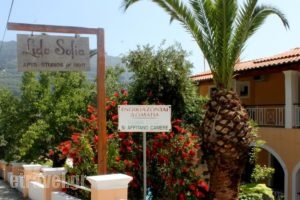 Lido Sofia Apartments_holidays_in_Apartment_Ionian Islands_Corfu_Agios Gordios