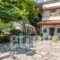 Apartments Xara_holidays_in_Apartment_Thessaly_Larisa_Agia