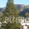 Apartments Xenophon_best deals_Apartment_Crete_Heraklion_Matala