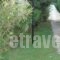 Villa Avra_best prices_in_Villa_Ionian Islands_Corfu_Corfu Rest Areas