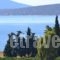 Alexandros Apartments_lowest prices_in_Apartment_Peloponesse_Arcadia_Astros