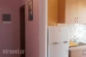 Apartments Palladium_accommodation_in_Apartment_Macedonia_Pieria_Olympiaki Akti