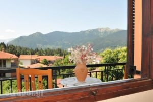 Mprizis Rooms_best deals_Room_Thessaly_Trikala_Trikala City