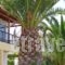 Dina Apartments_travel_packages_in_Crete_Chania_Almyrida