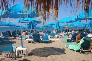 Frank Apartments_best prices_in_Apartment_Crete_Heraklion_Ammoudara