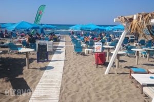 Frank Apartments_best deals_Apartment_Crete_Heraklion_Ammoudara