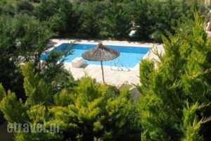 Villa Myrsini_accommodation_in_Villa_Crete_Heraklion_Tymbaki