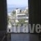 Iason Apartments_lowest prices_in_Apartment_Central Greece_Evia_Edipsos