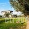 Villa Almira Luxury Apartments_best deals_Villa_Macedonia_Halkidiki_Ierissos