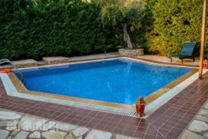 Olympia Villas_travel_packages_in_Thessaly_Magnesia_Pilio Area