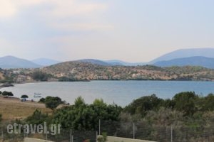 Gr8 Luxury Villas_lowest prices_in_Villa_Peloponesse_Argolida_Ermioni