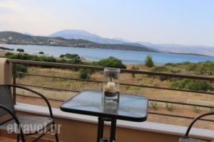 Gr8 Luxury Villas_best prices_in_Villa_Peloponesse_Argolida_Ermioni