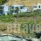 Villa Erotiki_accommodation_in_Villa_Cyclades Islands_Andros_Andros City