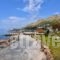 Elenas Apartments_holidays_in_Apartment_Ionian Islands_Paxi_Paxi Chora