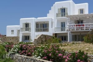 Elia Sun Villas_best deals_Villa_Cyclades Islands_Mykonos_Elia