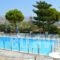 Villa Anna_holidays_in_Villa_Central Greece_Attica_Athens