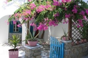 Rocco's Studios_best deals_Room_Cyclades Islands_Antiparos_Antiparos Chora