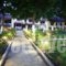 The Roses Bungalows_travel_packages_in_Macedonia_Halkidiki_Paradisos